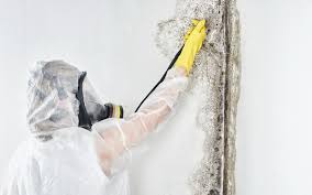 Asbestos and Lead Testing During Mold Inspection in Helena Valley West Central, MT